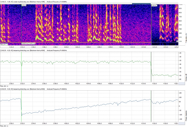 Forensic Audio Analysis Interface